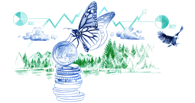 Pro und Contra Umweltbewertung: Lässt sich der Wert der Natur in Euro messen?