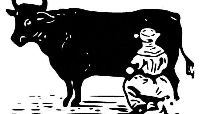 Finanzausgleich – quod licet iovi, non licet bovi