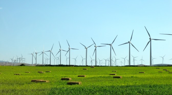 Energiewende: Sinn und Unsinn der Vorreiterrolle Deutschlands